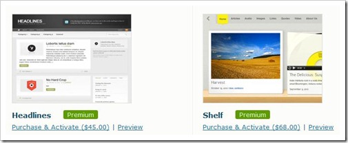 premium-theme-wordpress
